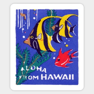 1930 Tropical Fish, Hawaii Sticker